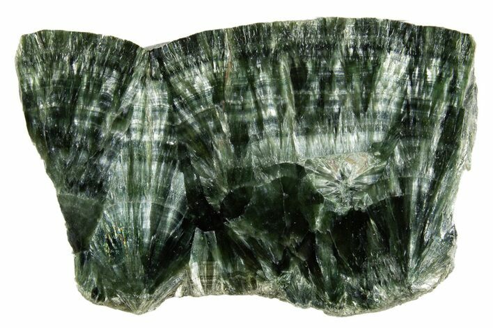 Polished Seraphinite Slab - Korshunovkiy Mine, Siberia #317740